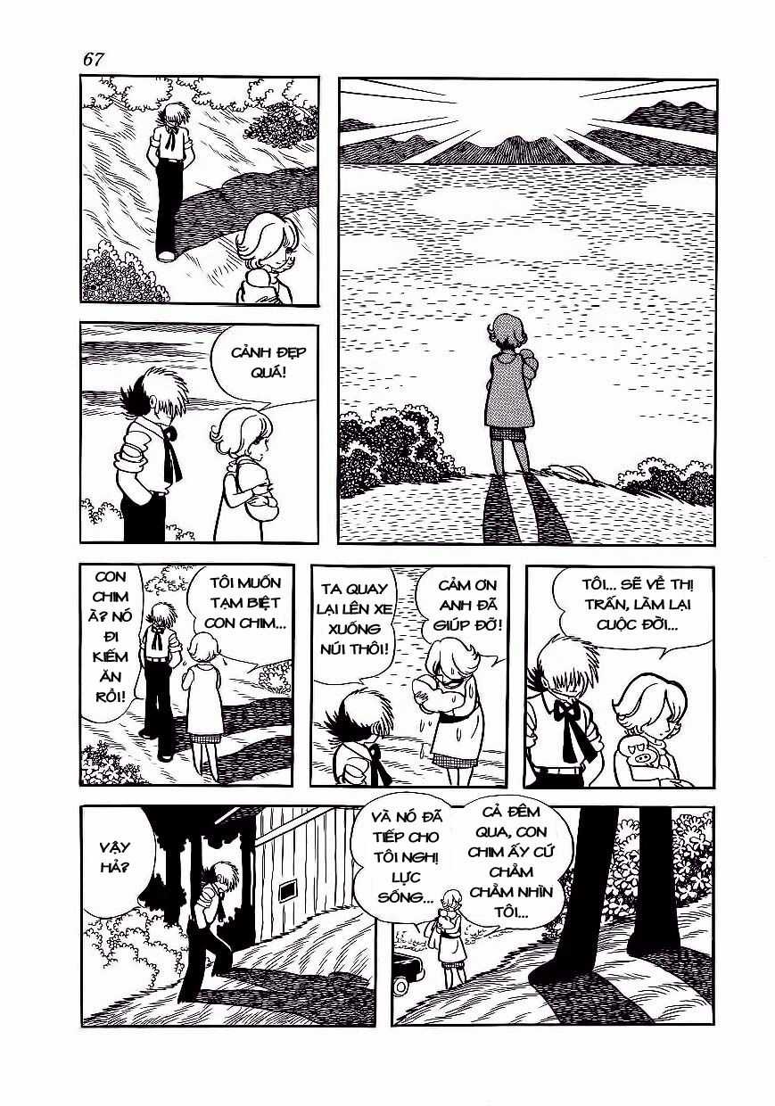 Black Jack Chapter 173 trang 18