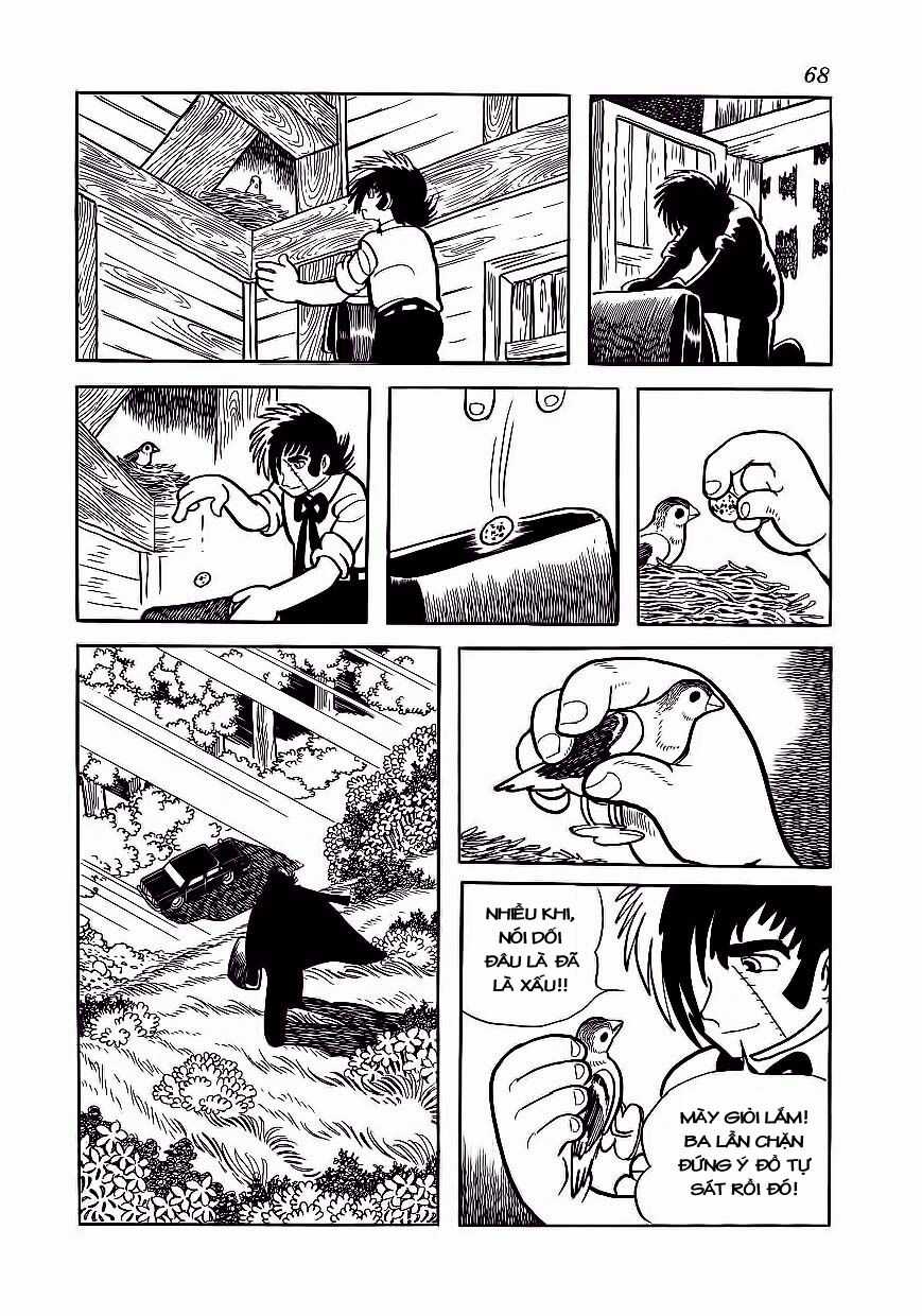 Black Jack Chapter 173 trang 19