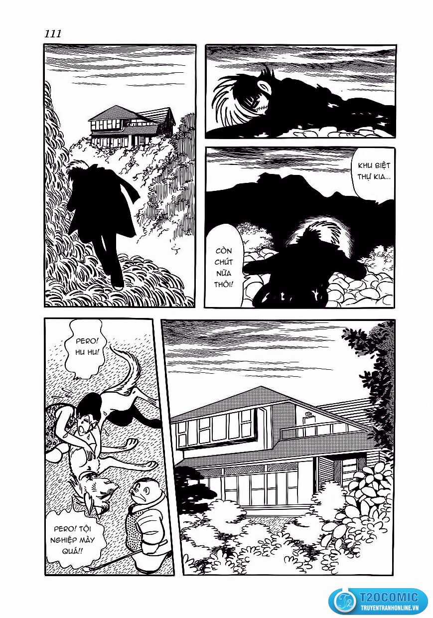 Black Jack Chapter 175 trang 20