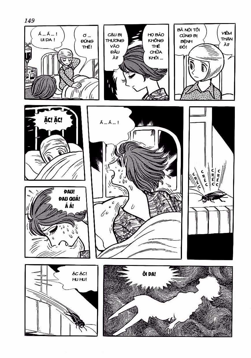 Black Jack Chapter 177 trang 12