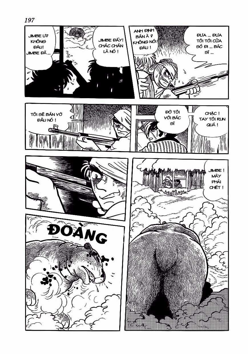 Black Jack Chapter 179 trang 19