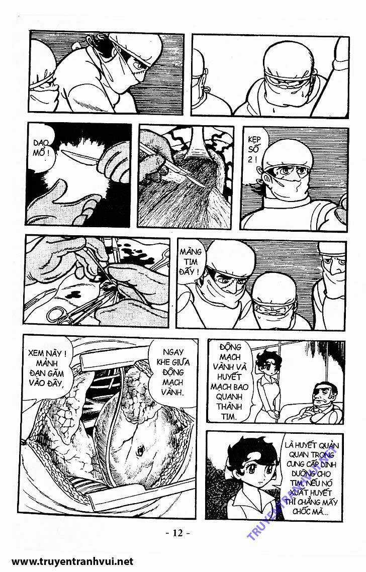 Black Jack Chapter 210 trang 11