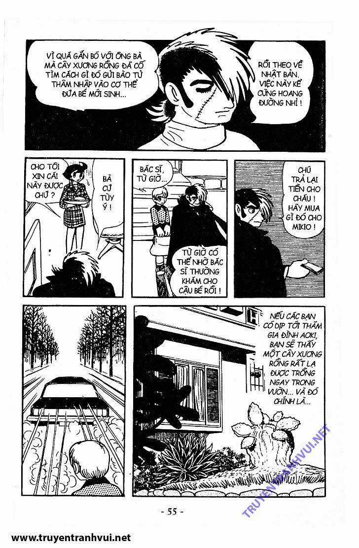 Black Jack Chapter 211 trang 22