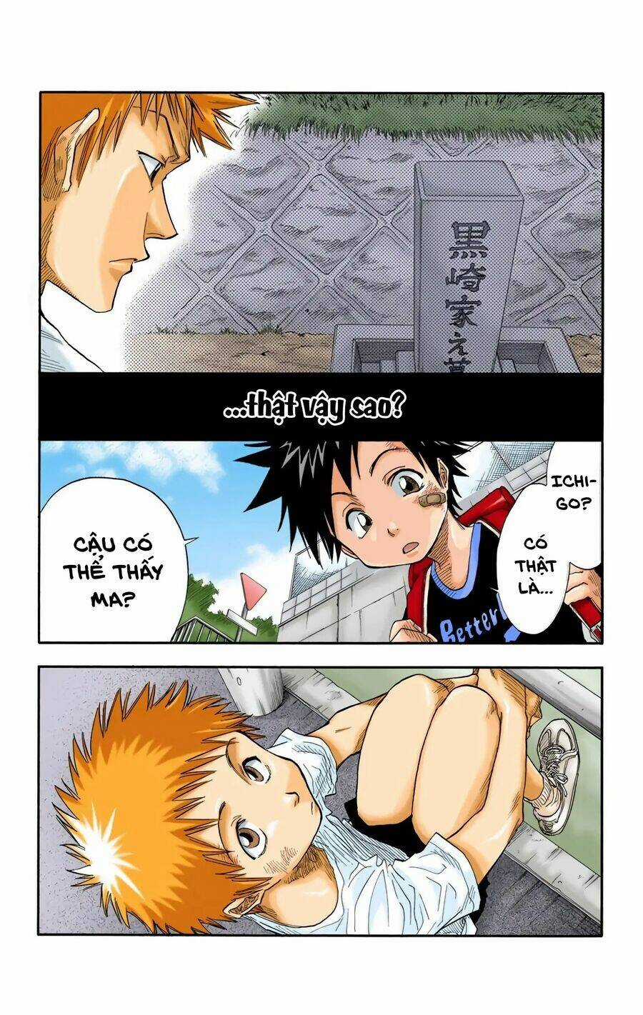 Bleach (Full Color) Chapter 19 trang 5