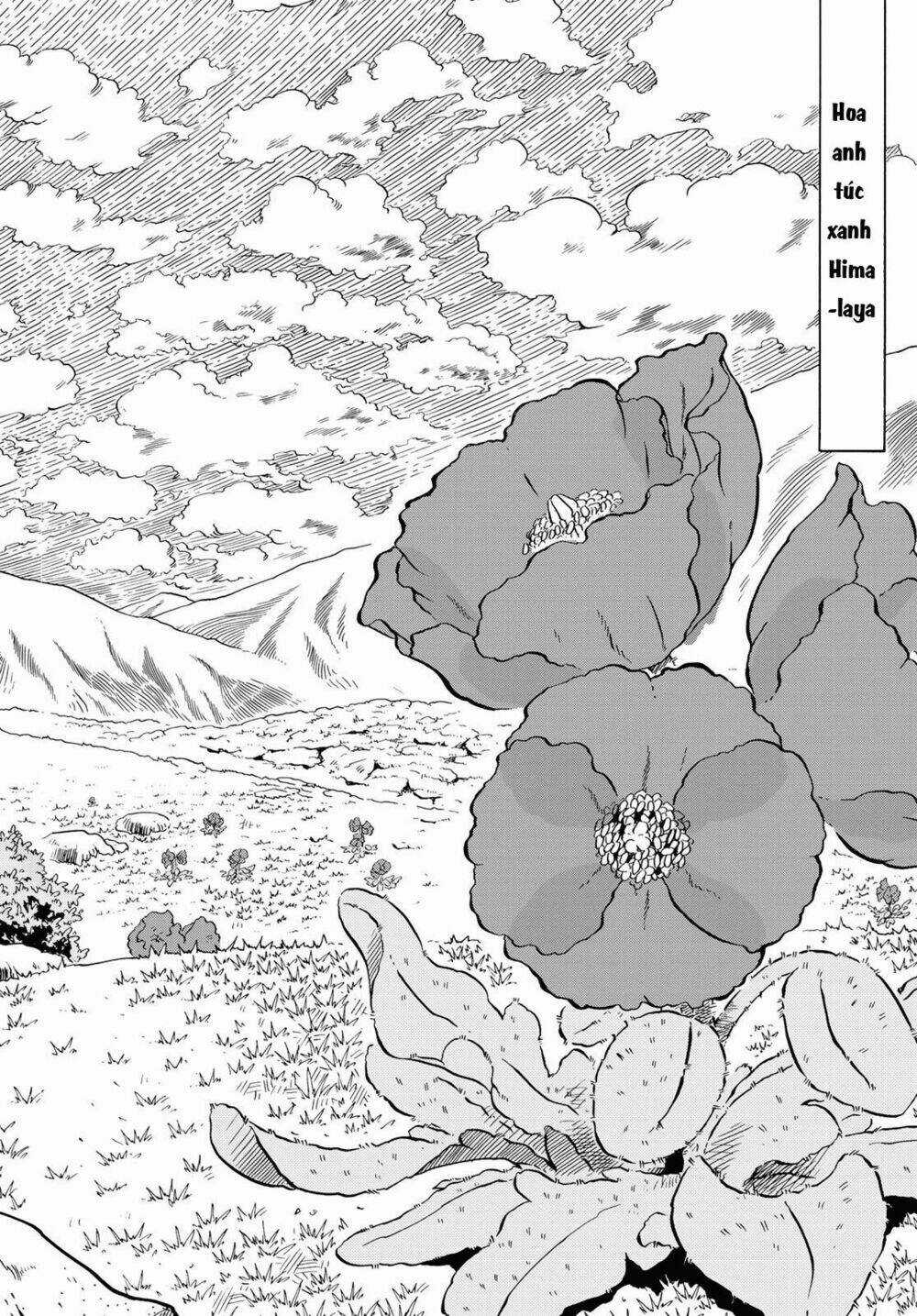 Blissful Land Chapter 11 trang 14