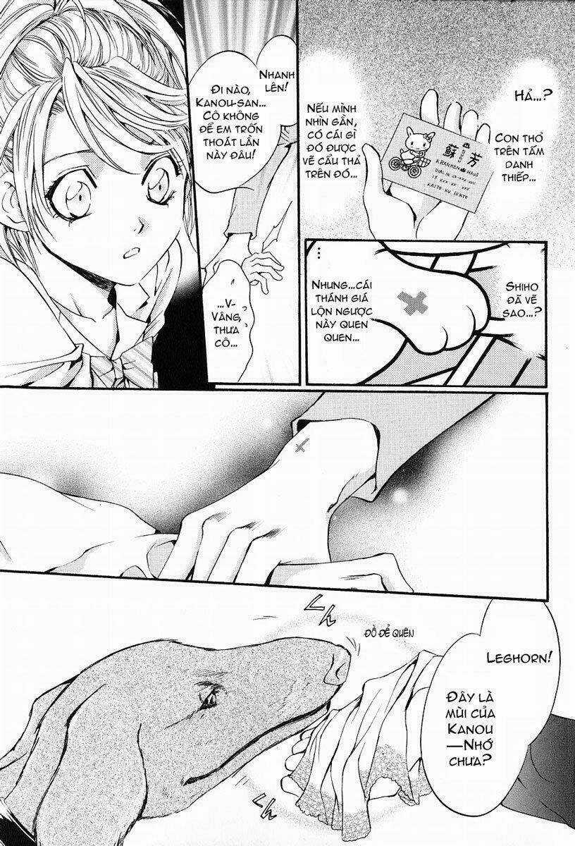 Blood Hound Chapter 1 trang 52