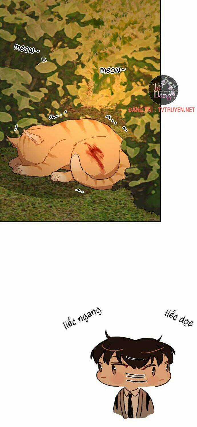 Bloody Romance - Lãng Mạn Đẫm Máu Chapter 8 trang 11