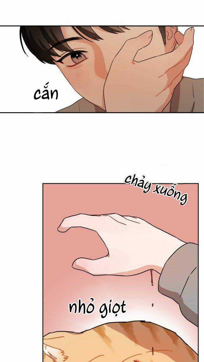 Bloody Romance - Lãng Mạn Đẫm Máu Chapter 8 trang 12