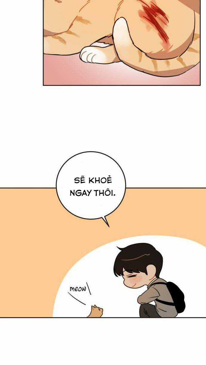 Bloody Romance - Lãng Mạn Đẫm Máu Chapter 8 trang 13