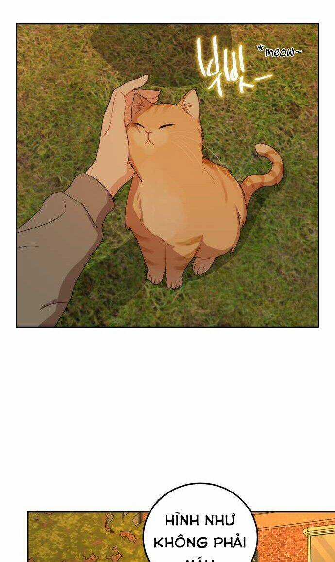 Bloody Romance - Lãng Mạn Đẫm Máu Chapter 8 trang 16