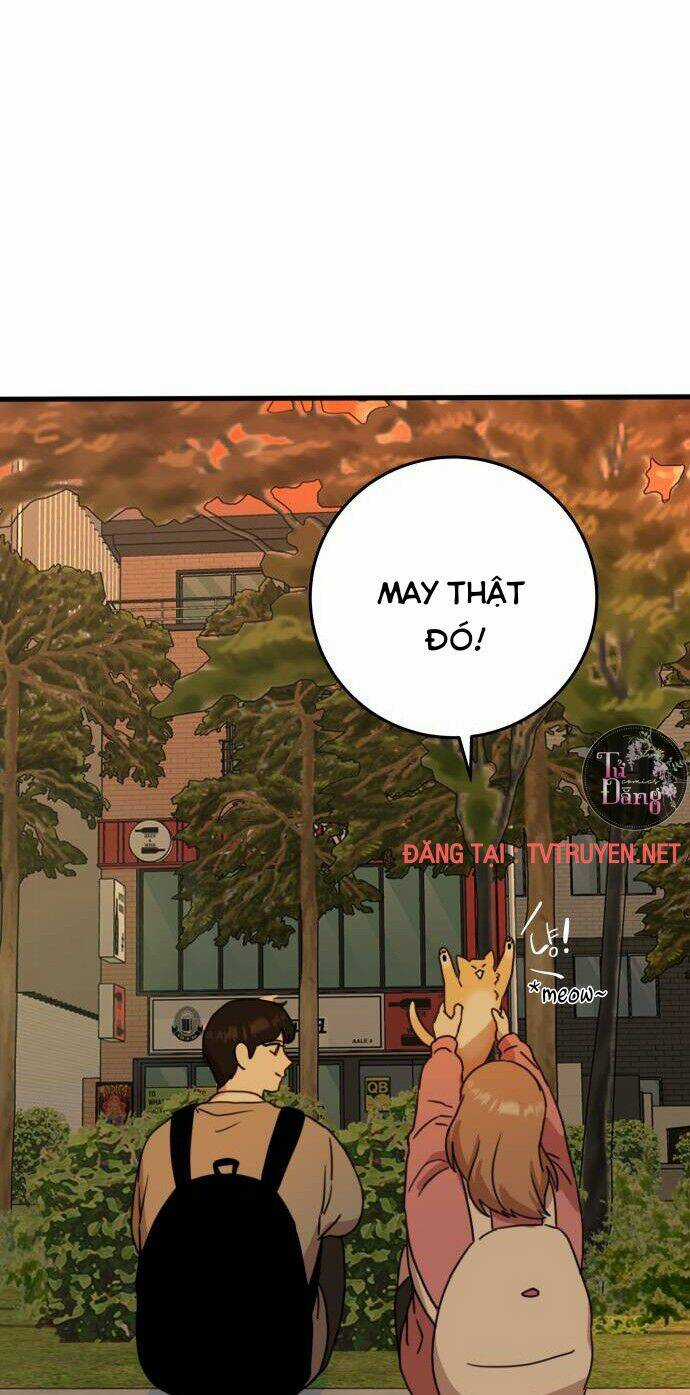 Bloody Romance - Lãng Mạn Đẫm Máu Chapter 8 trang 18