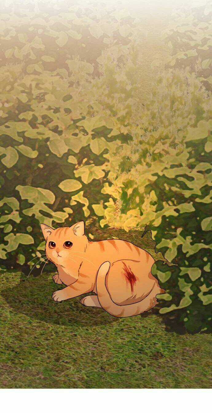 Bloody Romance - Lãng Mạn Đẫm Máu Chapter 8 trang 7