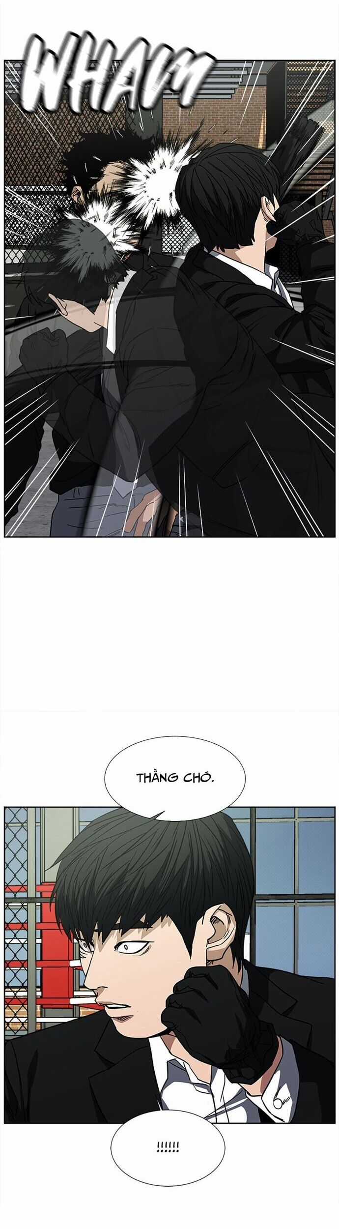 Bố Già Trùng Sinh Chapter 59 trang 19