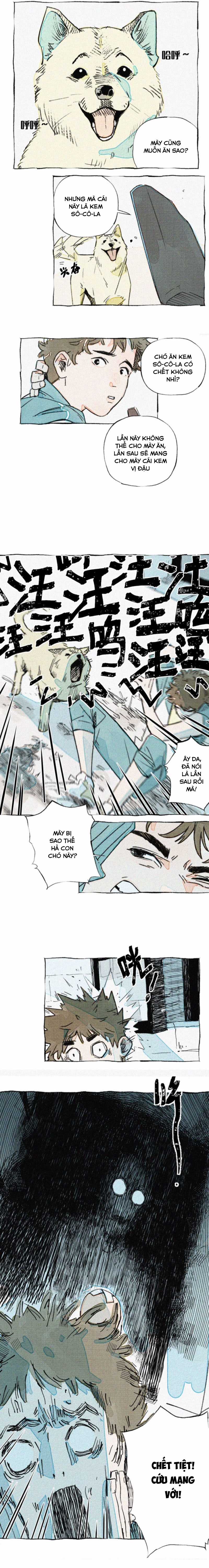 Bộ Sưu Tập Thanh Xuân Hai Chiều Chapter 1 trang 1