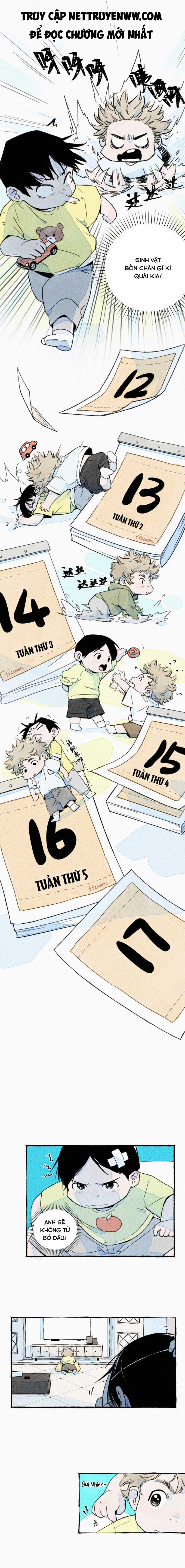 Bộ Sưu Tập Thanh Xuân Hai Chiều Chapter 3 trang 3