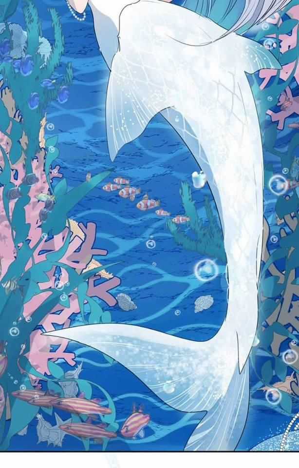 Bộ Váy Của Nhân Ngư Chapter 1 trang 9