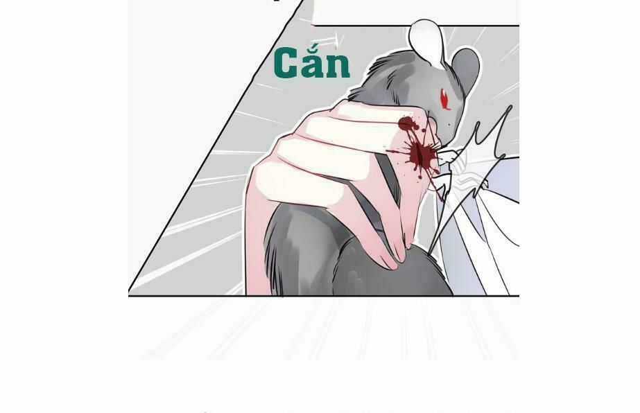 Bộ Váy Của Nhân Ngư Chapter 16 trang 17