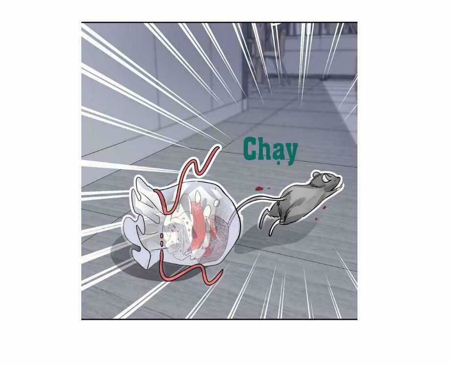 Bộ Váy Của Nhân Ngư Chapter 16 trang 19