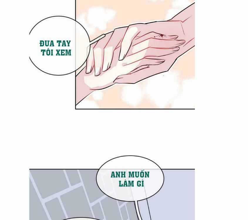 Bộ Váy Của Nhân Ngư Chapter 17 trang 3