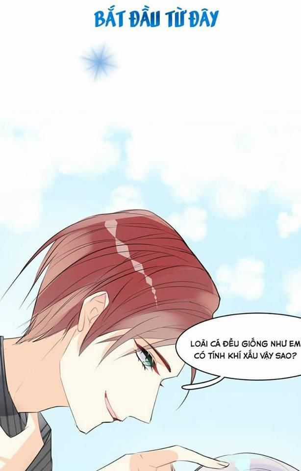 Bộ Váy Của Nhân Ngư Chapter 2 trang 8