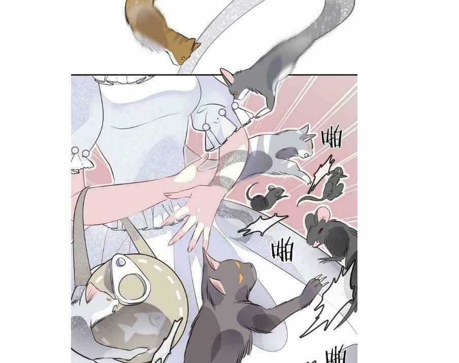 Bộ Váy Của Nhân Ngư Chapter 21 trang 4