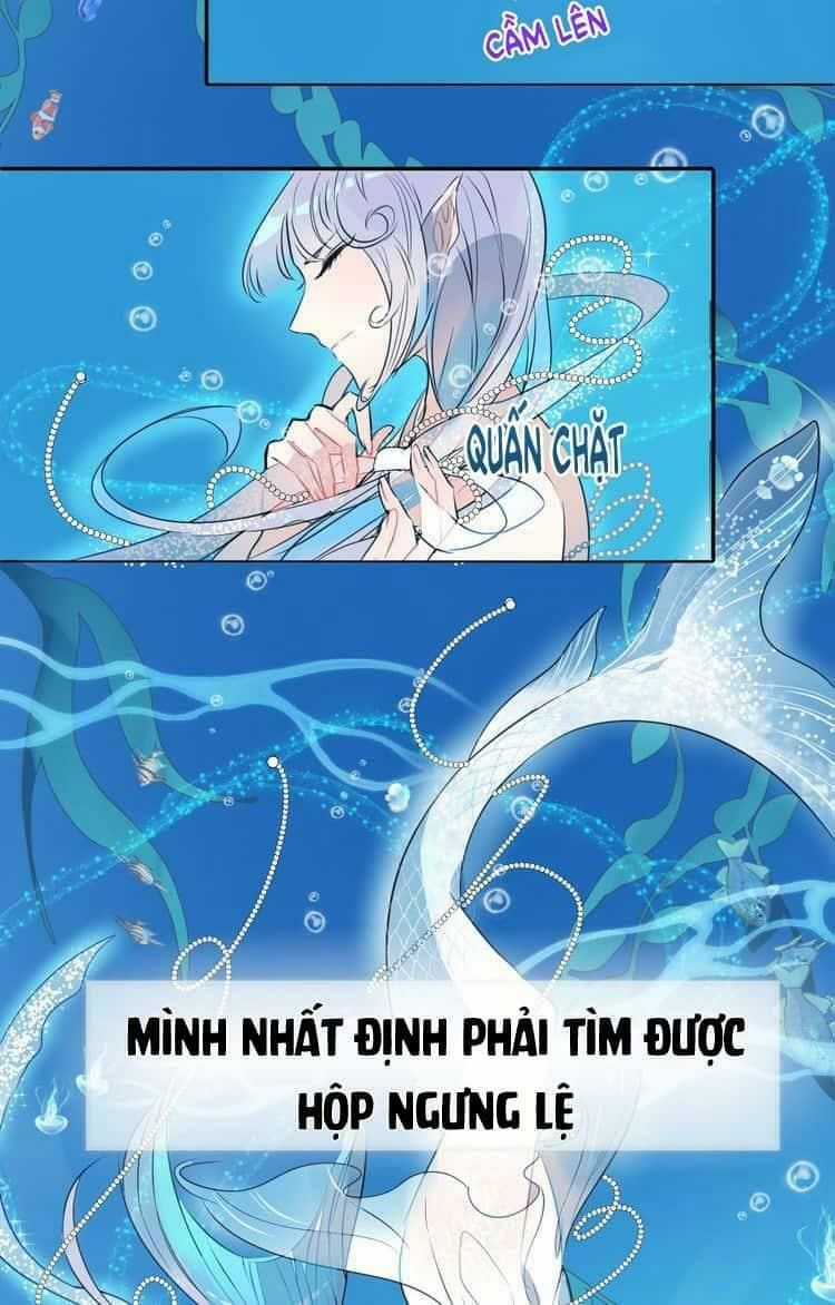 Bộ Váy Của Nhân Ngư Chapter 3 trang 11