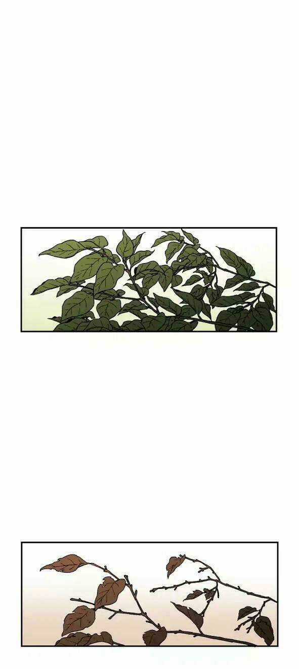 Bố Vô Song Chapter 30 trang 36