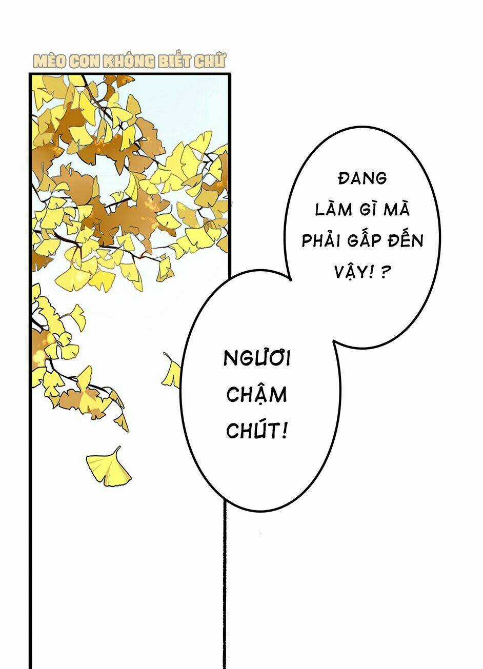 Bốc Toán Tử Chapter 2 trang 11