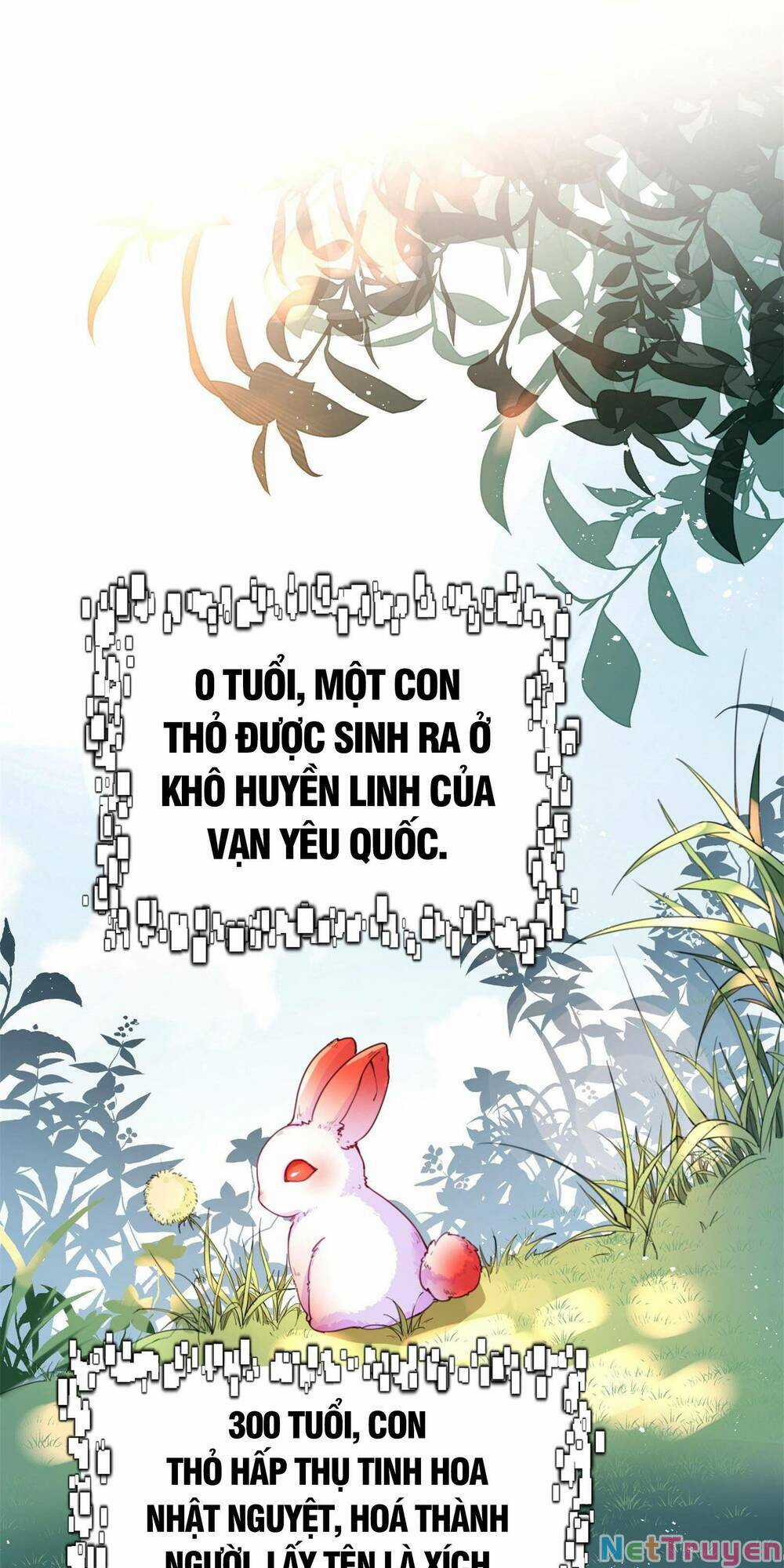 Bói Toán Mà Thôi, Cửu Vĩ Yêu Đế Sao Lại Thành Nương Tử Ta?! Món quà ý nghĩa nhất cho người thân yêu Chapter 1 trang 45