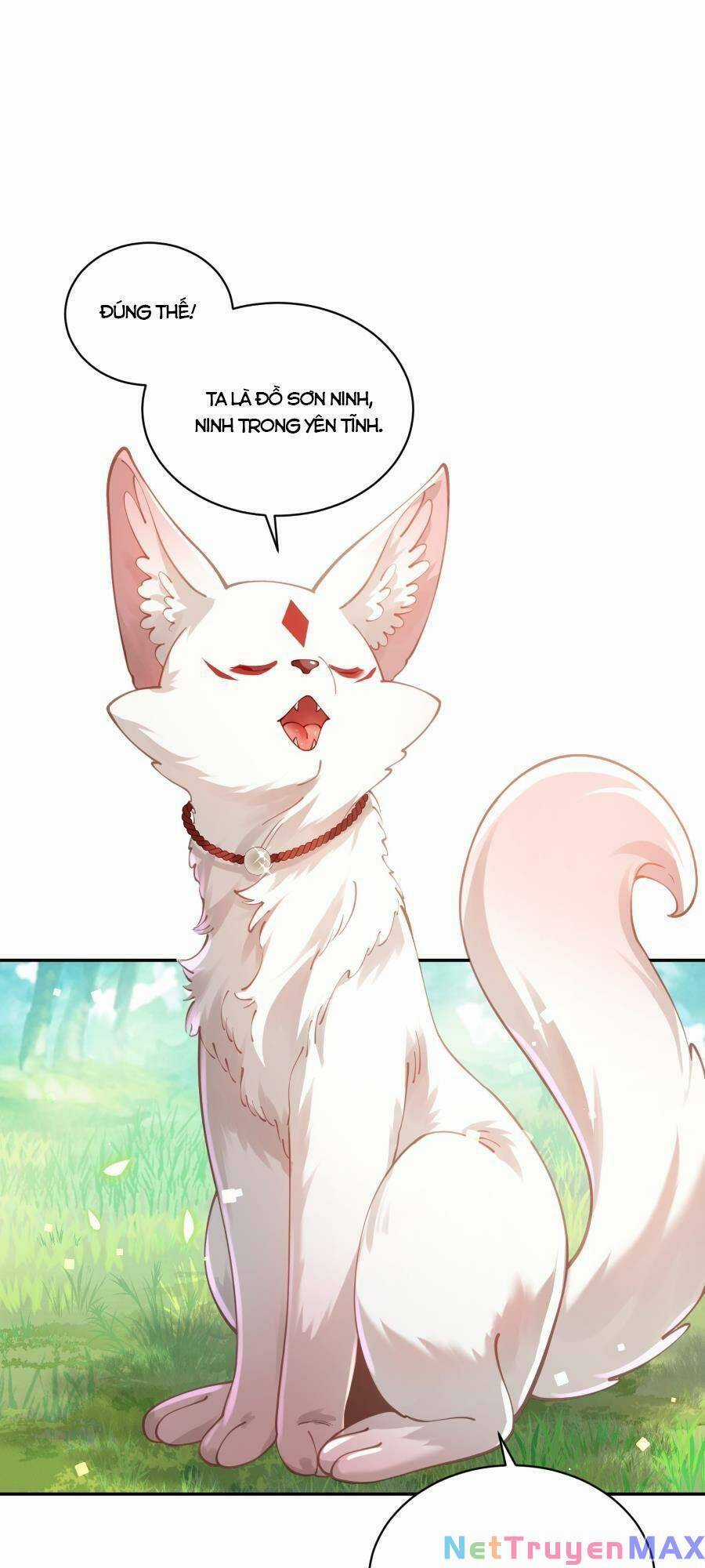 Bói Toán Mà Thôi, Cửu Vĩ Yêu Đế Sao Lại Thành Nương Tử Ta?! Món quà ý nghĩa nhất cho người thân yêu Chapter 22 trang 44