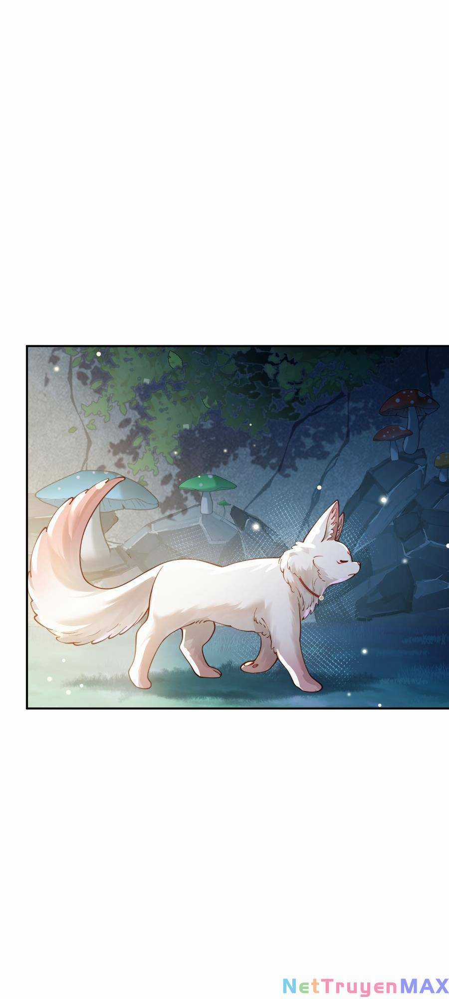 Bói Toán Mà Thôi, Cửu Vĩ Yêu Đế Sao Lại Thành Nương Tử Ta?! Món quà ý nghĩa nhất cho người thân yêu Chapter 22 trang 7