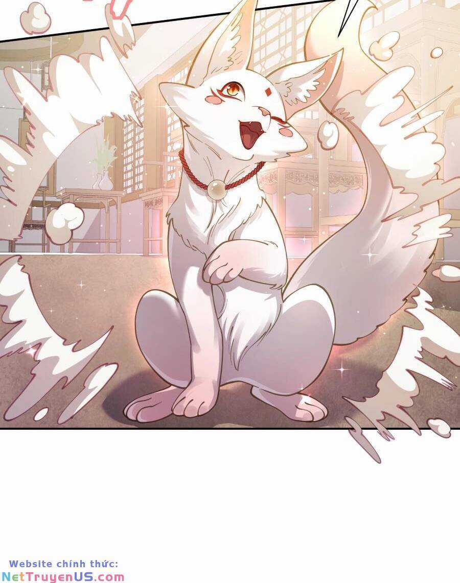 Bói Toán Mà Thôi, Cửu Vĩ Yêu Đế Sao Lại Thành Nương Tử Ta?! Món quà ý nghĩa nhất cho người thân yêu Chapter 24 trang 58