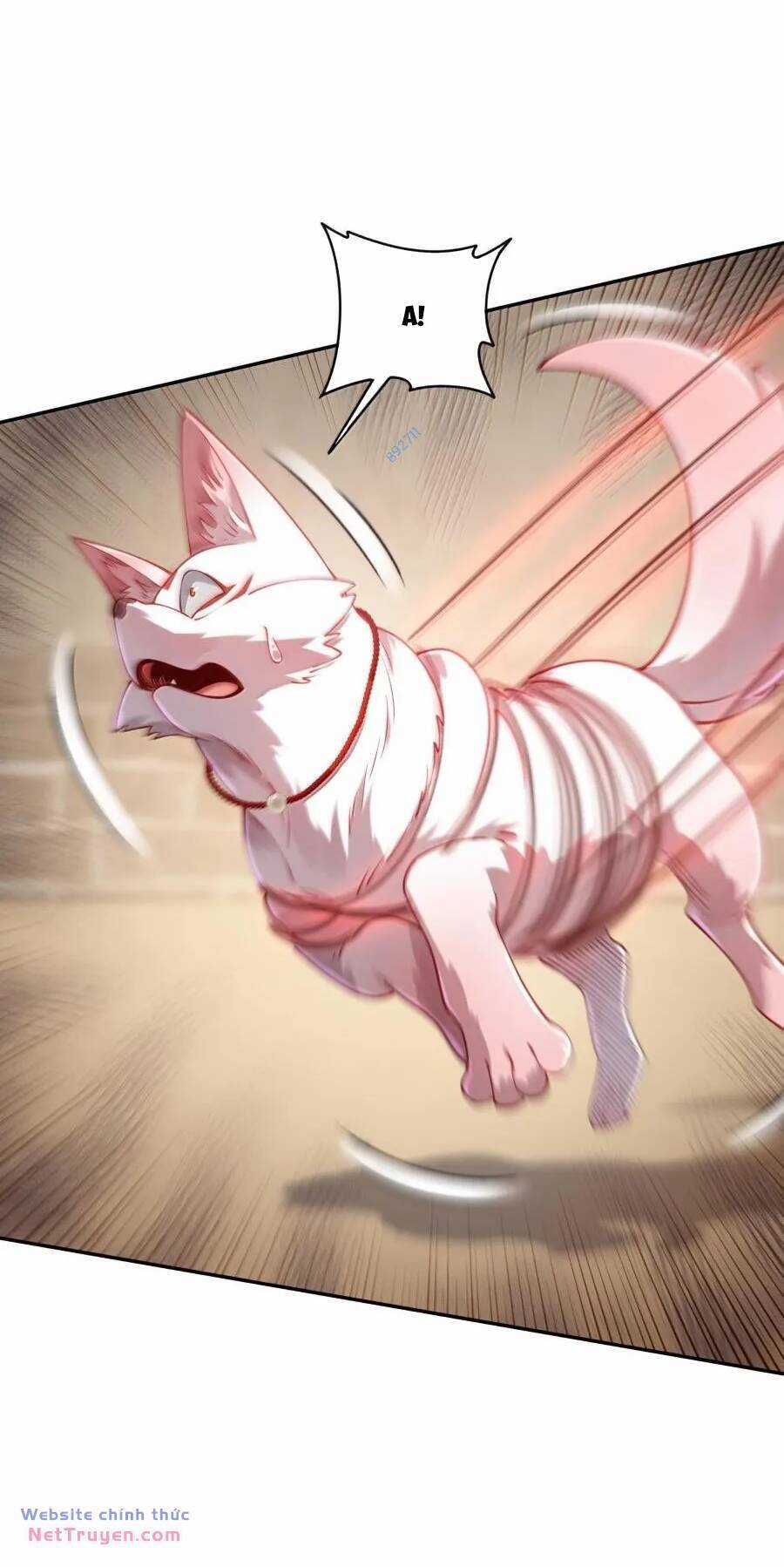 Bói Toán Mà Thôi, Cửu Vĩ Yêu Đế Sao Lại Thành Nương Tử Ta?! Món quà ý nghĩa nhất cho người thân yêu Chapter 42 trang 21