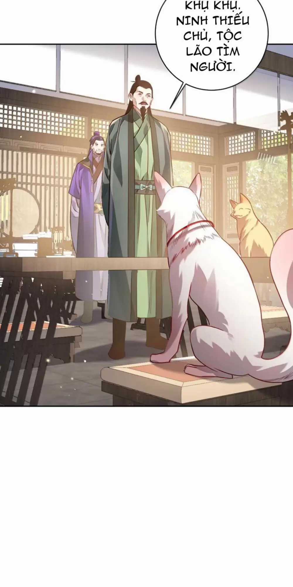 Bói Toán Mà Thôi, Cửu Vĩ Yêu Đế Sao Lại Thành Nương Tử Ta?! Món quà ý nghĩa nhất cho người thân yêu Chapter 51 trang 9