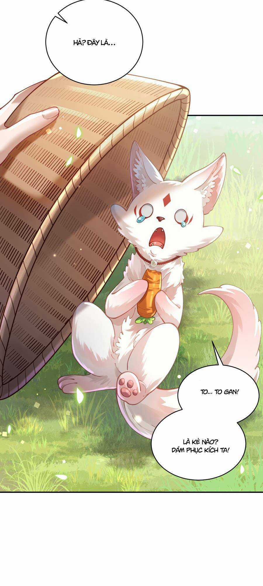 Bói Toán Mà Thôi, Cửu Vĩ Yêu Đế Sao Lại Thành Nương Tử Ta?! Chương 22 trang 41