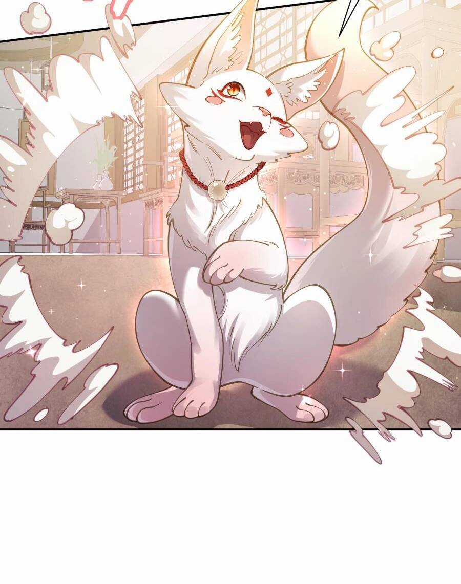 Bói Toán Mà Thôi, Cửu Vĩ Yêu Đế Sao Lại Thành Nương Tử Ta?! Chương 24 trang 58