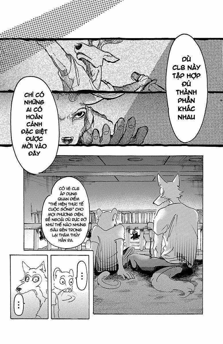 Bởi Vì Chúng Ta Đều Là Những Ngôi Sao Chapter 10 trang 17