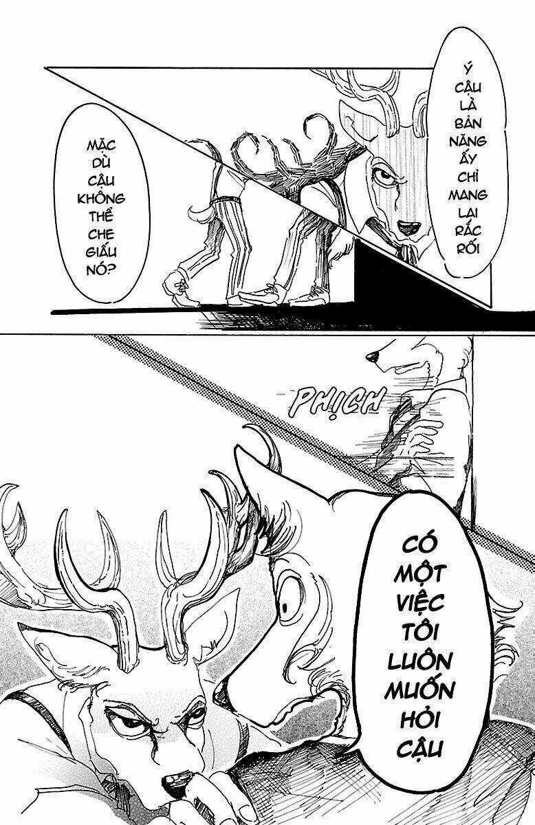 Bởi Vì Chúng Ta Đều Là Những Ngôi Sao Chapter 11 trang 12