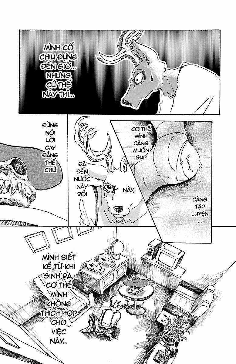 Bởi Vì Chúng Ta Đều Là Những Ngôi Sao Chapter 11 trang 7