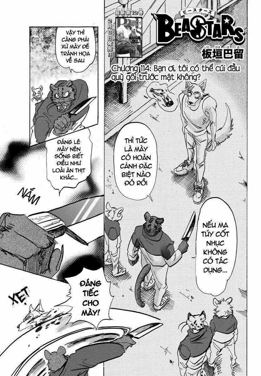 Bởi Vì Chúng Ta Đều Là Những Ngôi Sao Chapter 114 trang 0