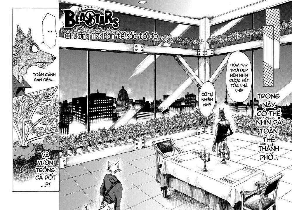 Bởi Vì Chúng Ta Đều Là Những Ngôi Sao Chapter 117 trang 1