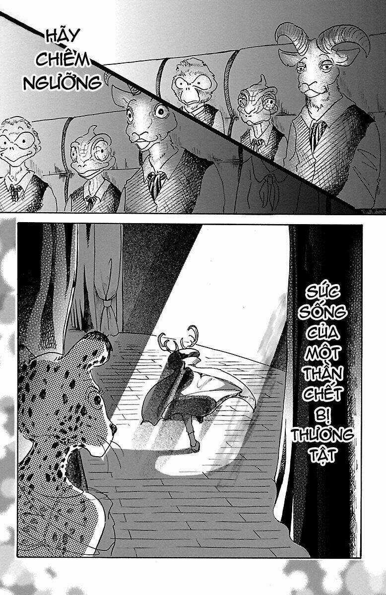 Bởi Vì Chúng Ta Đều Là Những Ngôi Sao Chapter 12 trang 11