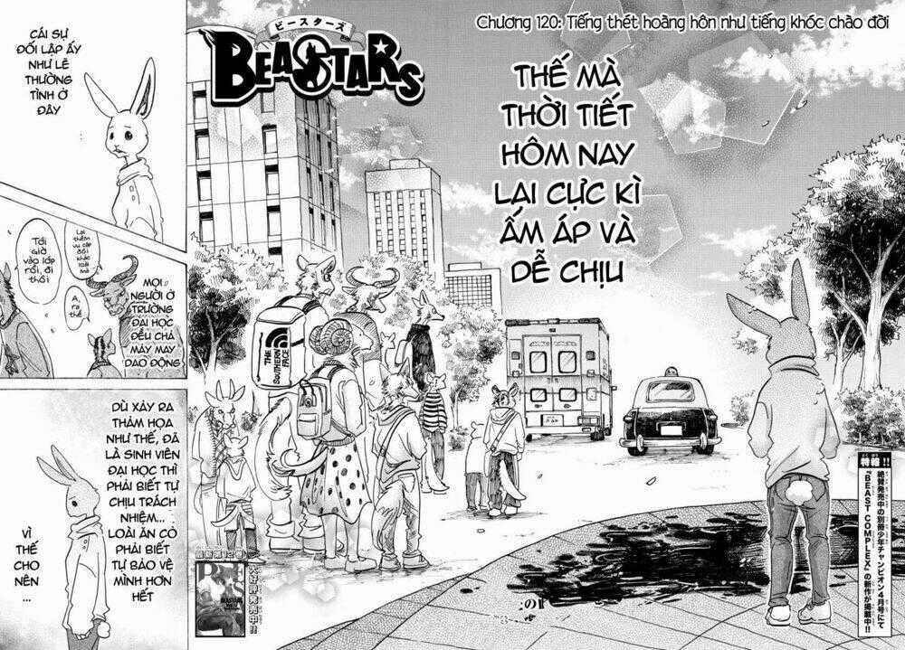 Bởi Vì Chúng Ta Đều Là Những Ngôi Sao Chapter 120 trang 1