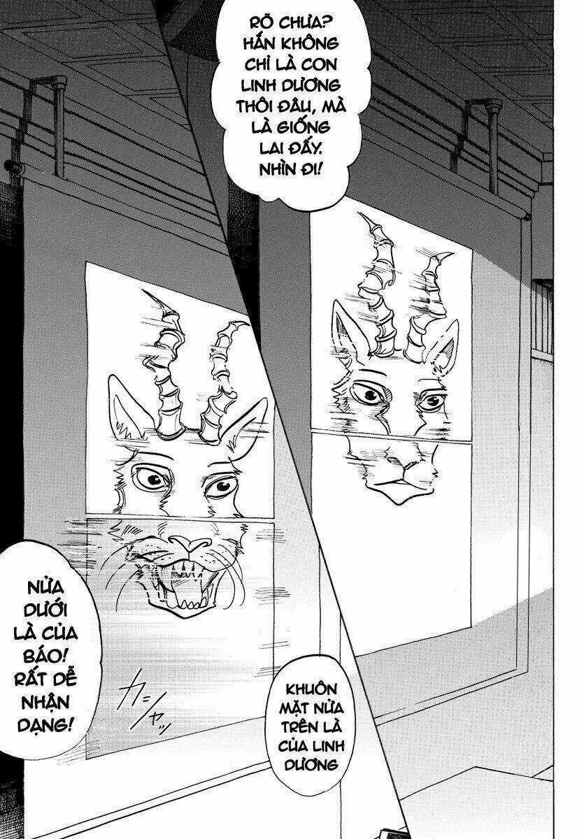 Bởi Vì Chúng Ta Đều Là Những Ngôi Sao Chapter 126 trang 0