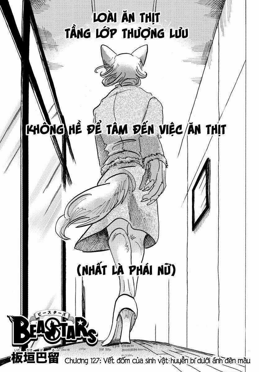 Bởi Vì Chúng Ta Đều Là Những Ngôi Sao Chapter 127 trang 0