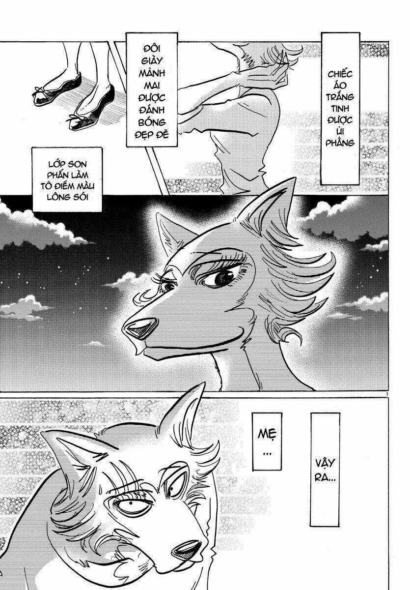 Bởi Vì Chúng Ta Đều Là Những Ngôi Sao Chapter 133 trang 0