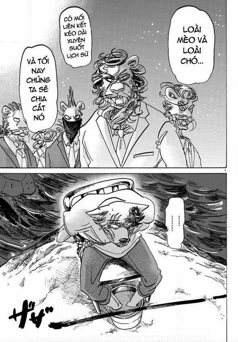 Bởi Vì Chúng Ta Đều Là Những Ngôi Sao Chapter 141 trang 1