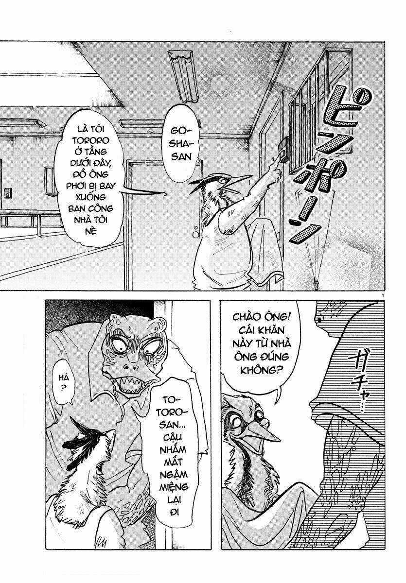 Bởi Vì Chúng Ta Đều Là Những Ngôi Sao Chapter 142 trang 1
