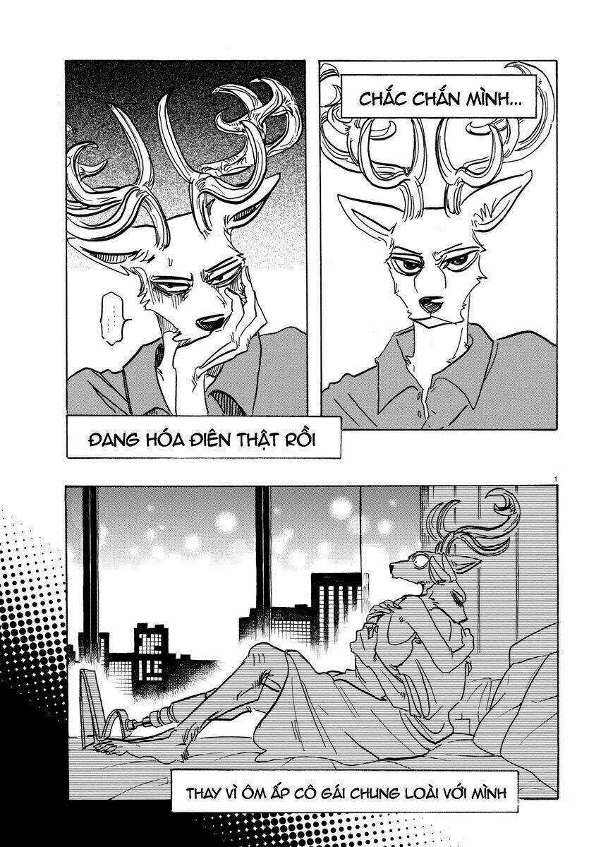 Bởi Vì Chúng Ta Đều Là Những Ngôi Sao Chapter 144 trang 0