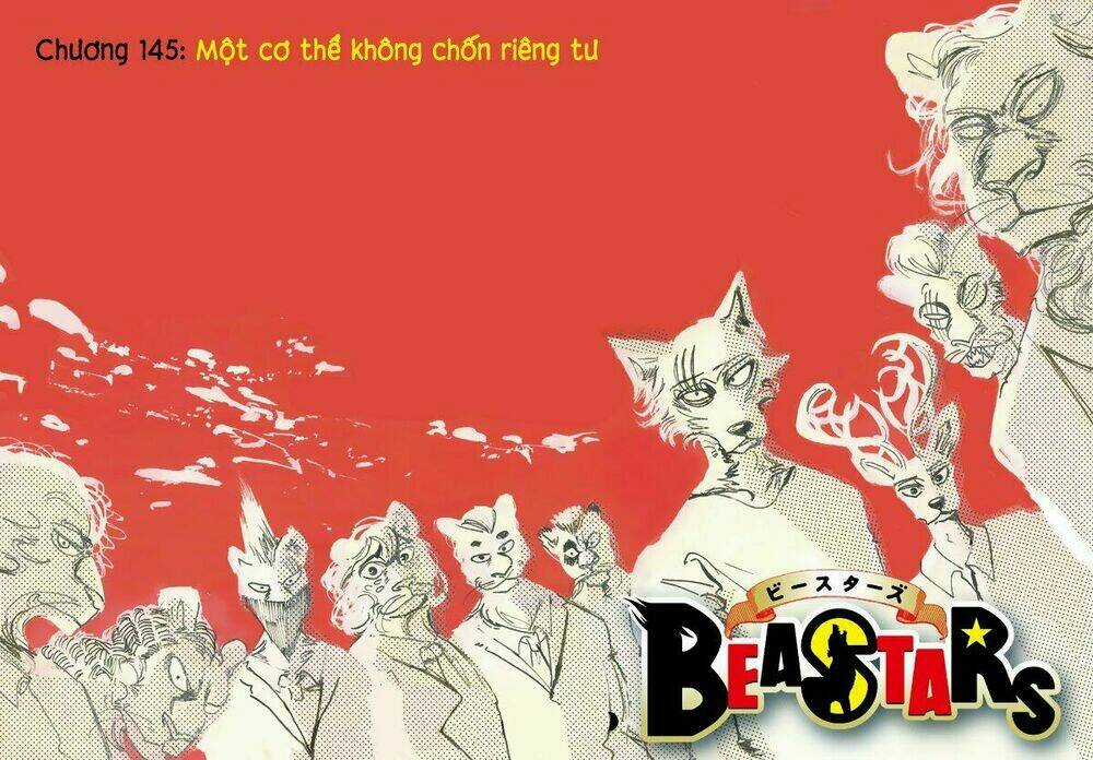 Bởi Vì Chúng Ta Đều Là Những Ngôi Sao Chapter 145 trang 0